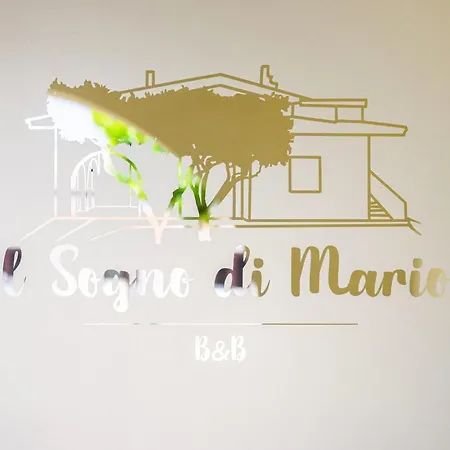 Il Sogno Di Mario Carbonia